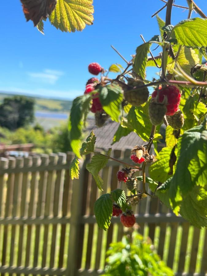 Black Isle View Dingwall Buitenkant foto