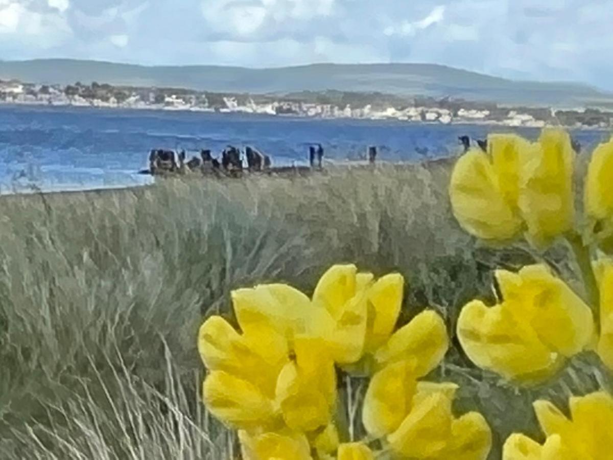 Black Isle View Dingwall Buitenkant foto